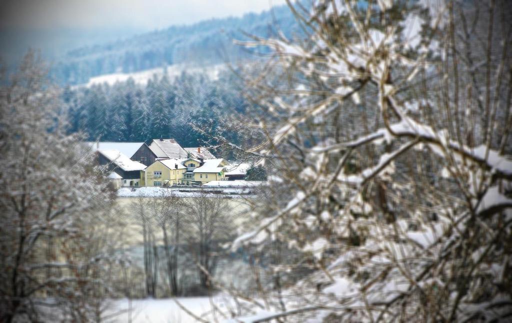 Hotel Der Seehof Hauzenberg Exterior photo